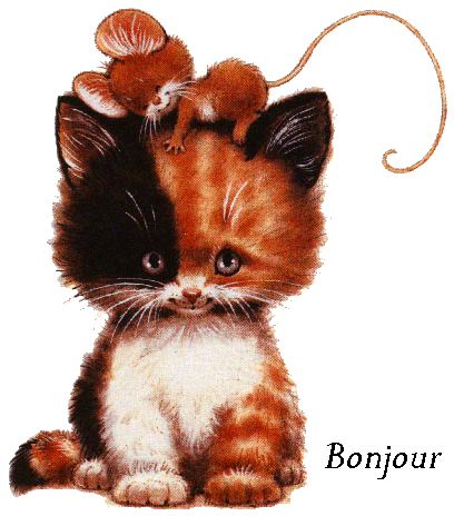 Bonjour !